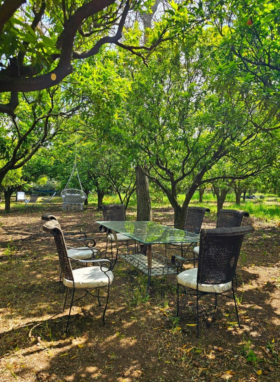 La Casa Del Mosaico Guest House Angri Luaran gambar